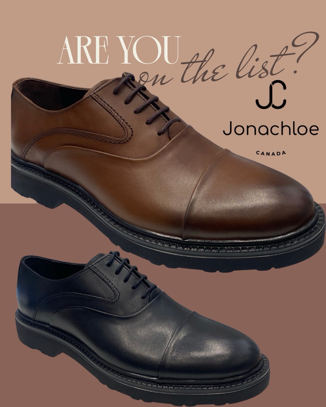 Chaussure pour homme